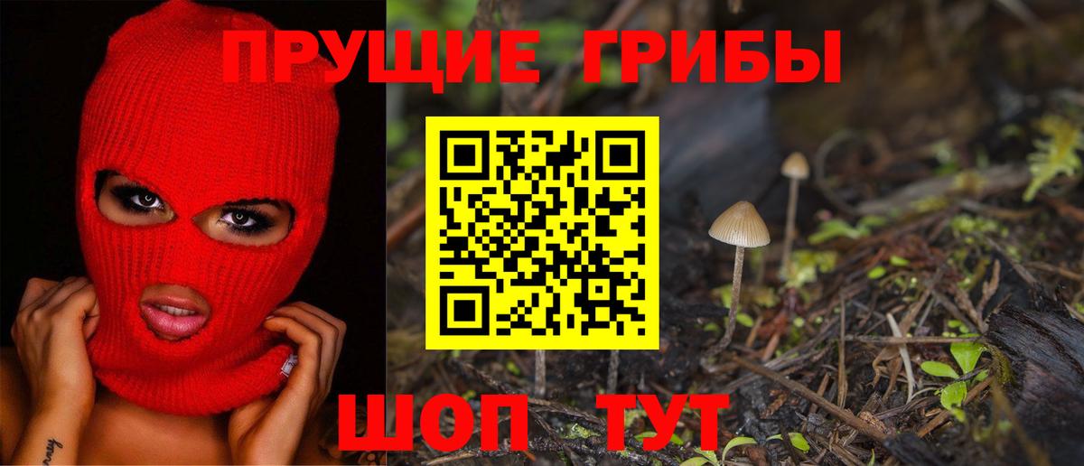 Галлюциногенные грибы GOLDEN TEACHER Новотроицк