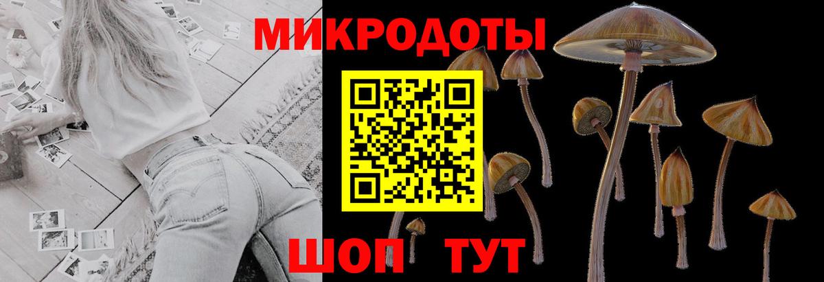 Галлюциногенные грибы Psilocybine cubensis  Галлюциногенные грибы мицелий  Вход с VPN  Новотроицк 