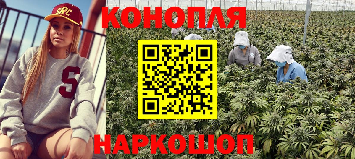 Марихуана White Widow Новотроицк